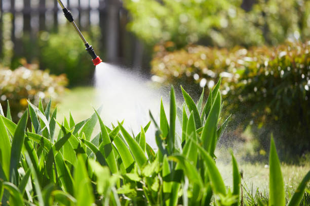 24/7 Emergency Wasp Removal experts in Winchester, IL