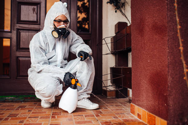 Reliable Wasp Removal contractor in Winchester, IL by Show Me Pest Control